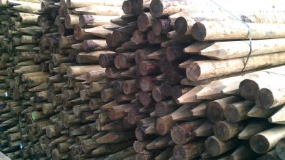 timber posts