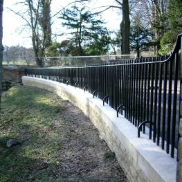 Black Wrought iron fencing in woodland garden