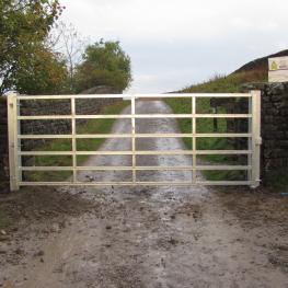 Metal gate 