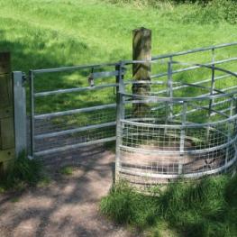 Large woodstock meshed hoops