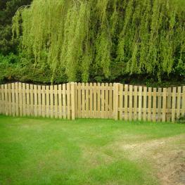 Timber fencing 