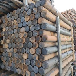 Creosoted Scanpole Intermediates